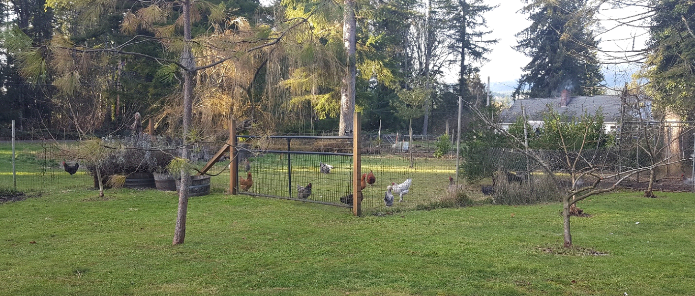 The free ranging flock